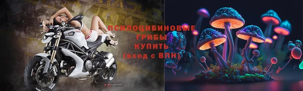 твердый Белокуриха