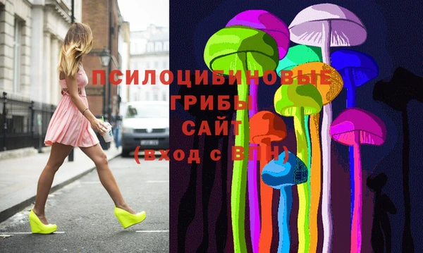тгк Бикин