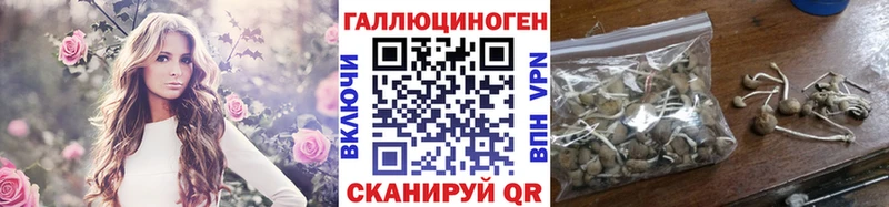 площадка телеграм  Белоозёрский  Псилоцибиновые грибы ЛСД  гидра tor 